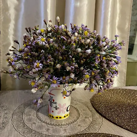 Flat Near The Sea Appartement Pomorie